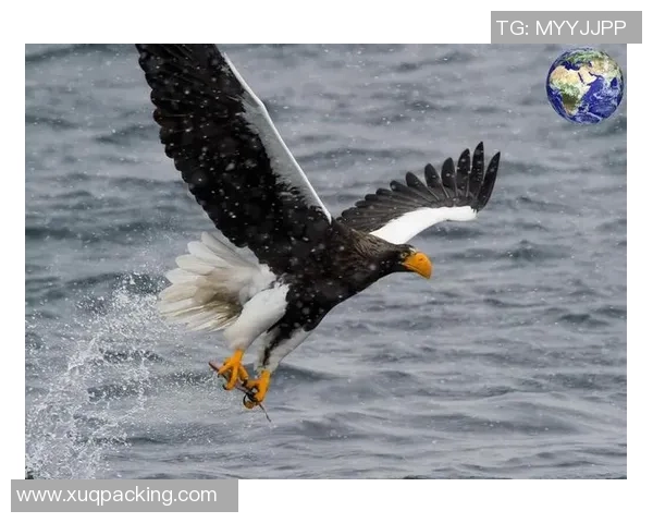 全球足球十大弹跳王者盘点 谁能跃起冲击天空的极限 全球足球十大弹跳王者盘点 谁能跃起冲击天空的极限